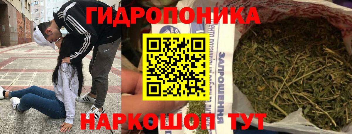 Бошки марихуана планчик  Бошки марихуана планчик  Бошки Шишки ГИДРОПОН  Конопля план  Вход с VPN  Новокуйбышевск 